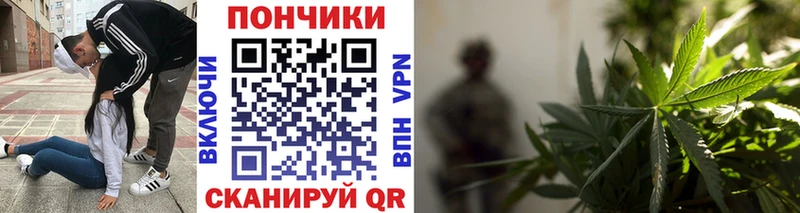 Конопля конопля  закладка  Бабушкин 